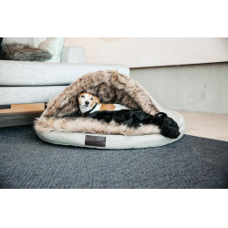 Cama para cão Igloo Kentucky Cama para cão Igloo Kentucky