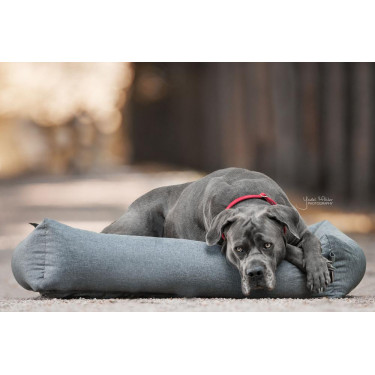 Cama para cão Soft Sleep Kentucky