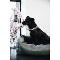 Cama para cão Soft Sleep Kentucky Cinzento Cama para cão Soft Sleep Kentucky Cinzento