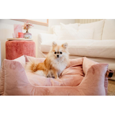 Cama para cão Velvet Kentucky Rosa velho
