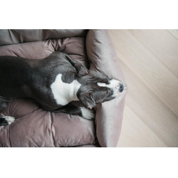 Cama para cão Velvet Kentucky Bege