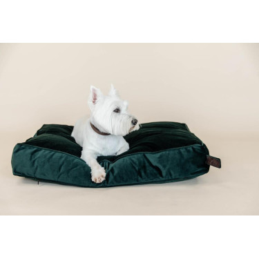 Almofada para cão Velvet Kentucky