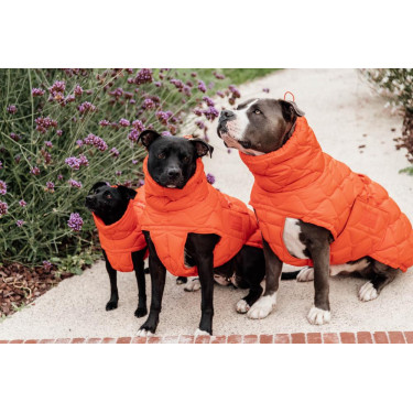 Casaco de inverno para cão Pina Kentucky Casaco de inverno para cão Pina Kentucky