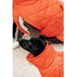 Casaco de inverno para cão Pina Kentucky Casaco de inverno para cão Pina Kentucky