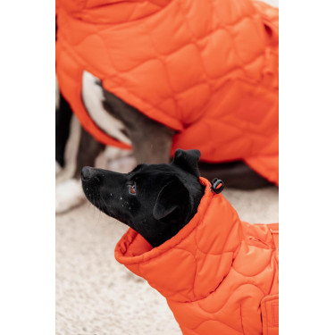 Casaco de inverno para cão Pina Kentucky Casaco de inverno para cão Pina Kentucky