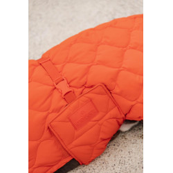 Casaco de inverno para cão Pina Kentucky Casaco de inverno para cão Pina Kentucky