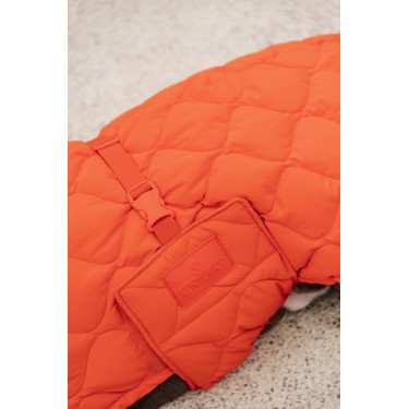 Casaco de inverno para cão Pina Kentucky Casaco de inverno para cão Pina Kentucky