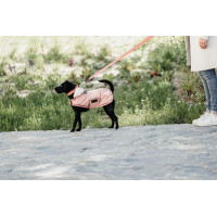 Casaco impermeável para cão 160g Kentucky Coral Vermelho Casaco impermeável para cão 160g Kentucky Coral Vermelho