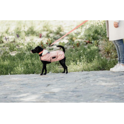 Casaco impermeável para cão 160g Kentucky Casaco impermeável para cão 160g Kentucky