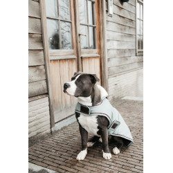 Casaco impermeável para cão 160g Kentucky Azul empoeirado