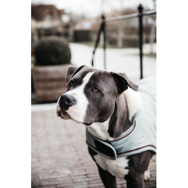 Casaco impermeável para cão 160g Kentucky Azul empoeirado