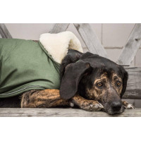 Casaco impermeável para cão 300g Kentucky Verde-oliva