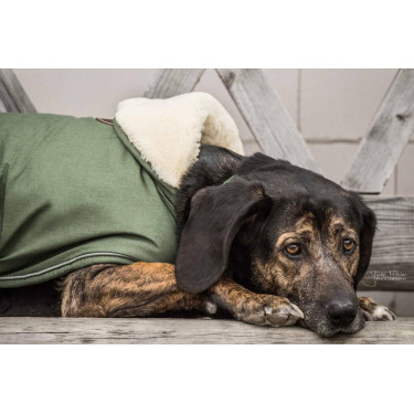 Casaco impermeável para cão 300g Kentucky