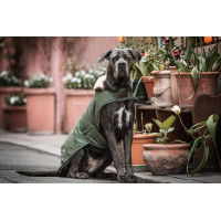 Casaco impermeável para cão 300g Kentucky Verde-oliva Casaco impermeável para cão 300g Kentucky Verde-oliva
