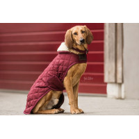 Casaco para cão Original Kentucky Bordéus Bordô Casaco para cão Original Kentucky Bordéus Bordô