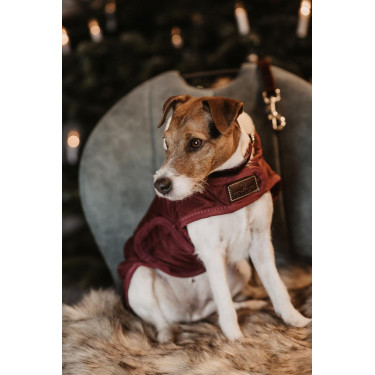 Casaco para cão Original Kentucky Bordéus Bordô Casaco para cão Original Kentucky Bordéus Bordô