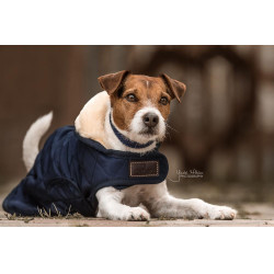 Casaco para cão Original Kentucky Casaco para cão Original Kentucky