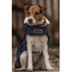 Casaco para cão Original Kentucky Casaco para cão Original Kentucky