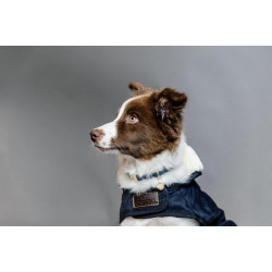 Casaco para cão Original Kentucky Casaco para cão Original Kentucky