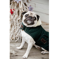 Casaco para cão Original Kentucky Bordéus Bord&amp;ocirc;