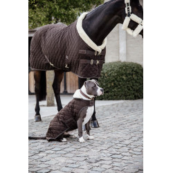 Casaco para cão Original Kentucky Castanho