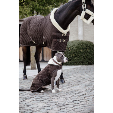 Casaco para cão Original Kentucky Castanho
