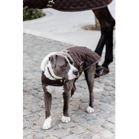 Casaco para cão Original Kentucky Bordéus Bordô Casaco para cão Original Kentucky Bordéus Bordô