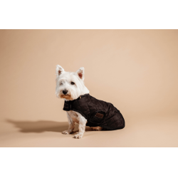 Casaco para cão Original Kentucky Castanho