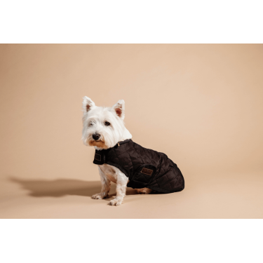 Casaco para cão Original Kentucky Castanho