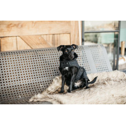 Casaco para cão Original Kentucky Preto/preto Casaco para cão Original Kentucky Preto/preto