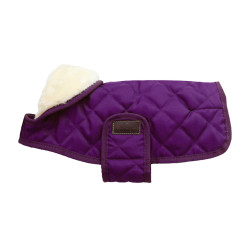 Casaco para cão Original Kentucky Malva real Violeta