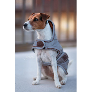 Casaco refletor e repelente à água para cão Kentucky