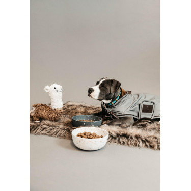 Casaco refletor e repelente à água para cão Kentucky Prata Casaco refletor e repelente à água para cão Kentucky Prata