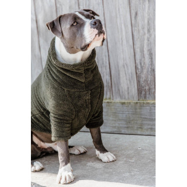 Suéter para Cão Teddy Fleece Kentucky Suéter para Cão Teddy Fleece Kentucky