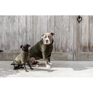 Suéter para Cão Teddy Fleece Kentucky Suéter para Cão Teddy Fleece Kentucky