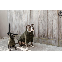 Suéter para Cão Teddy Fleece Kentucky Suéter para Cão Teddy Fleece Kentucky