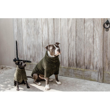 Suéter para Cão Teddy Fleece Kentucky Suéter para Cão Teddy Fleece Kentucky