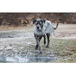 Casaco Impermeável para cão Kentucky