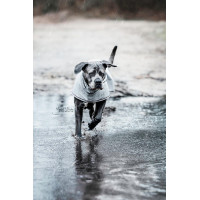 Casaco Impermeável para cão Kentucky Azul empoeirado Casaco Impermeável para cão Kentucky Azul empoeirado