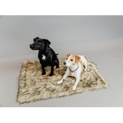 Cama para cão Fuzzy to go Kentucky Cama para cão Fuzzy to go Kentucky