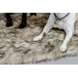 Cama para cão Fuzzy to go Kentucky Cama para cão Fuzzy to go Kentucky