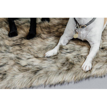 Cama para cão Fuzzy to go Kentucky Cama para cão Fuzzy to go Kentucky