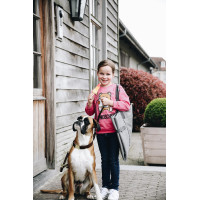 Cama para cão Travel In Style Kentucky Cinzento