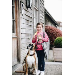 Cama para cão Travel In Style Kentucky Cinzento