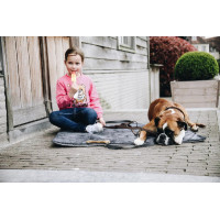 Cama para cão Travel In Style Kentucky Cinzento