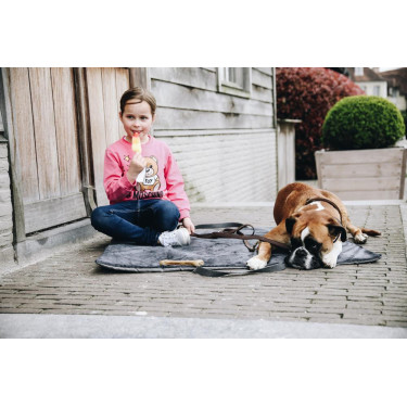 Cama para cão Travel In Style Kentucky Cinzento