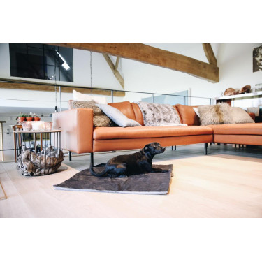 Cama para cão Travel In Style Kentucky Cinzento