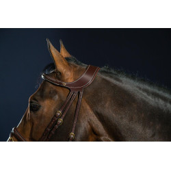 Bridão Différence D Collection by Dy'on Castanho