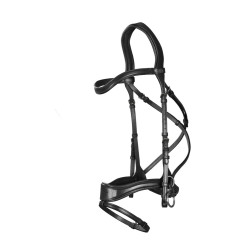 Bridão D Motion New English Collection by Dy'on Preto