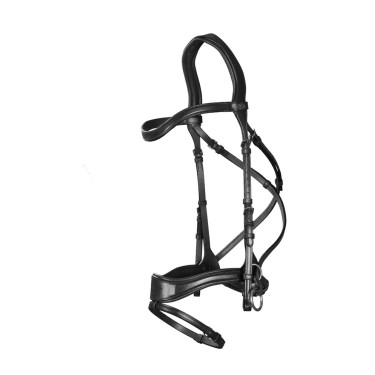 Bridão D Motion New English Collection by Dy'on Preto